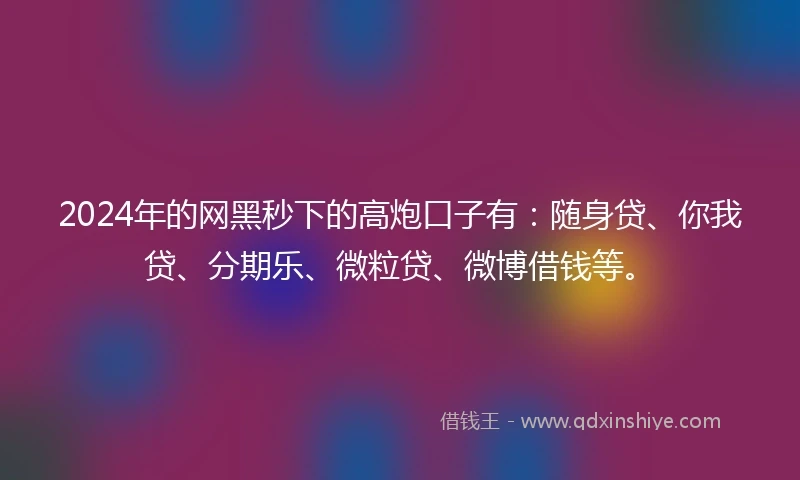 2024年的网黑秒下的高炮口子有：随身贷、你我贷、分期乐、微粒贷、微博借钱等。