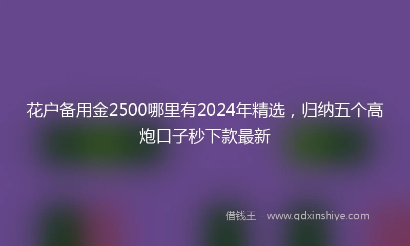 花户备用金2500哪里有2024年精选，归纳五个高炮口子秒下款最新