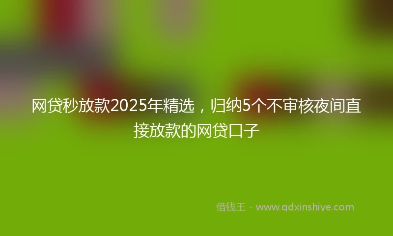 网贷秒放款2025年精选，归纳5个不审核夜间直接放款的网贷口子