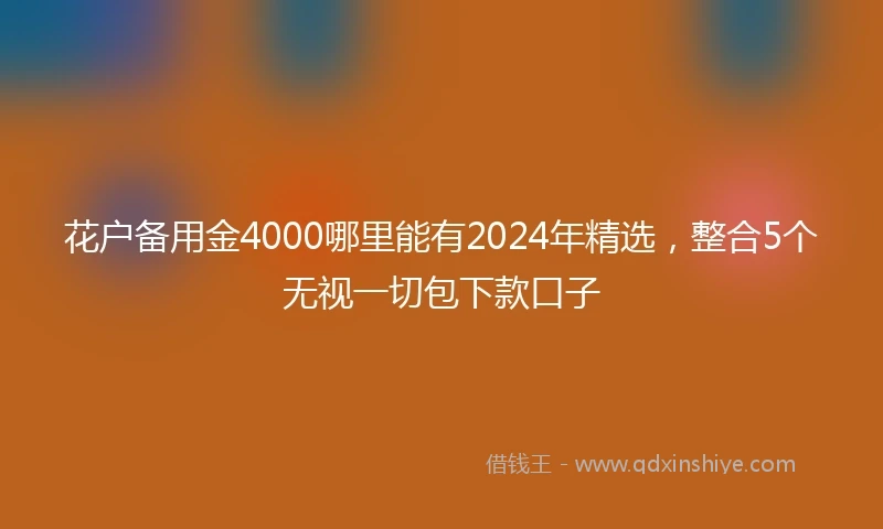 花户备用金4000哪里能有2024年精选，整合5个无视一切包下款口子
