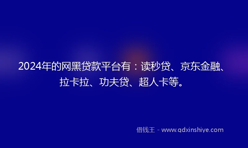 2024年的网黑贷款平台有：读秒贷、京东金融、拉卡拉、功夫贷、超人卡等。
