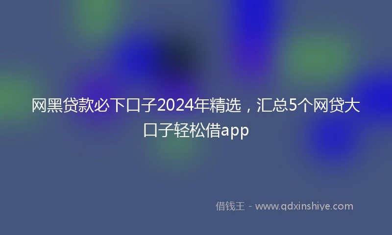 网黑贷款必下口子2024年精选，汇总5个网贷大口子轻松借app