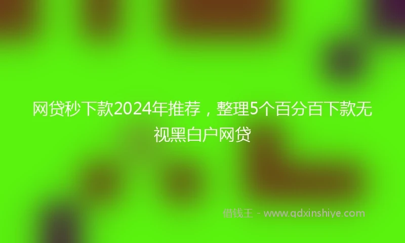 网贷秒下款2024年推荐，整理5个百分百下款无视黑白户网贷