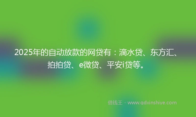 2025年的自动放款的网贷有：滴水贷、东方汇、拍拍贷、e微贷、平安i贷等。