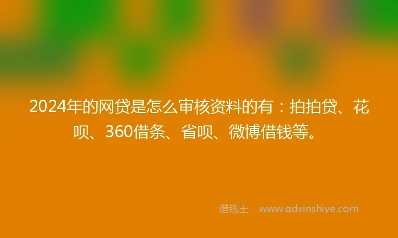 2024年的网贷是怎么审核资料的有：拍拍贷、花呗、360借条、省呗、微博借钱等。