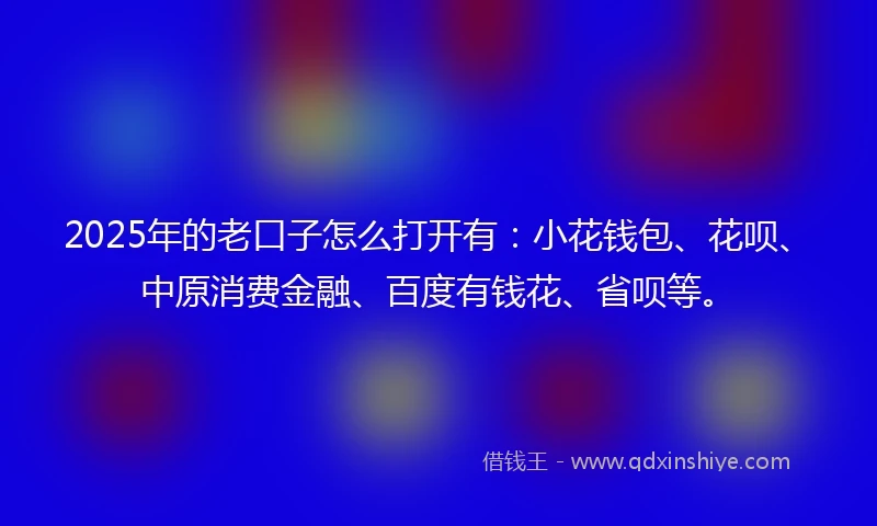 2025年的老口子怎么打开有:小花钱包、花呗、中原消费金融、百度有钱花、省呗等。