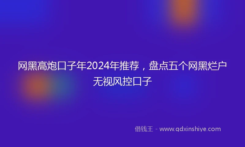 网黑高炮口子年2024年推荐，盘点五个网黑烂户无视风控口子