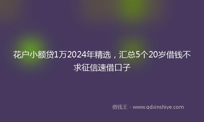 花户小额贷1万2024年精选，汇总5个20岁借钱不求征信速借口子