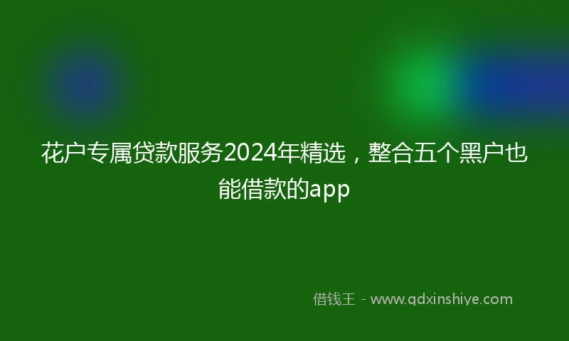 花户专属贷款服务2024年精选，整合五个黑户也能借款的app