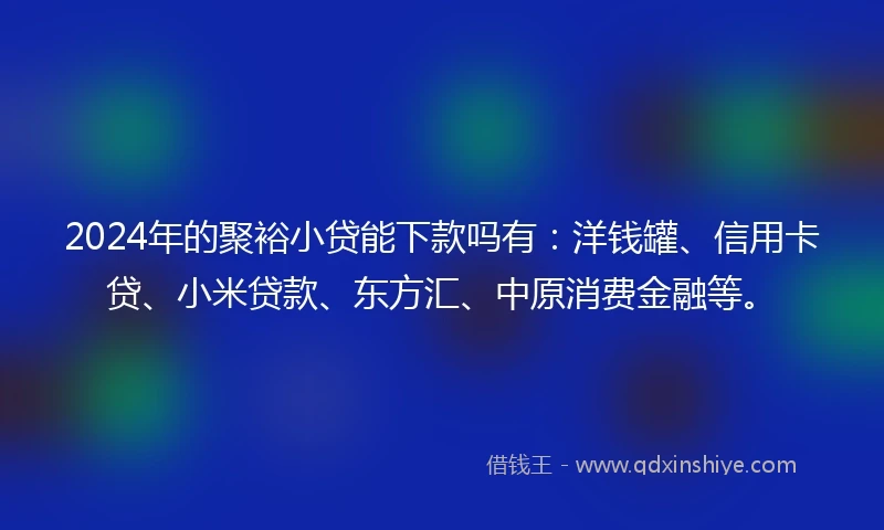 2024年的聚裕小贷能下款吗有：洋钱罐、信用卡贷、小米贷款、东方汇、中原消费金融等。