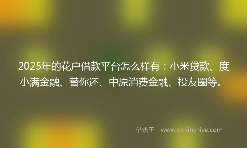 2025年的花户借款平台怎么样有：小米贷款、度小满金融、替你还、中原消费金融、投友圈等。