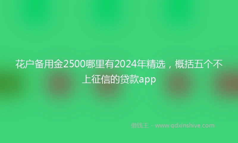 花户备用金2500哪里有2024年精选，概括五个不上征信的贷款app