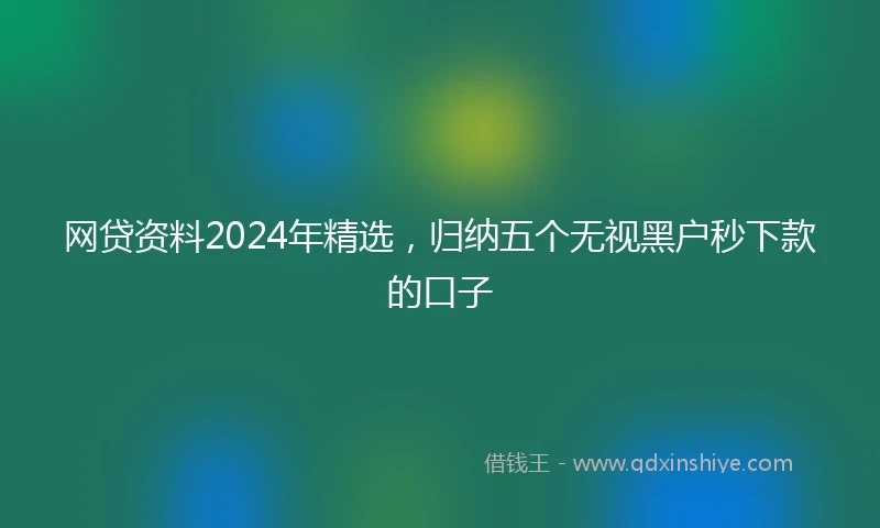 网贷资料2024年精选，归纳五个无视黑户秒下款的口子
