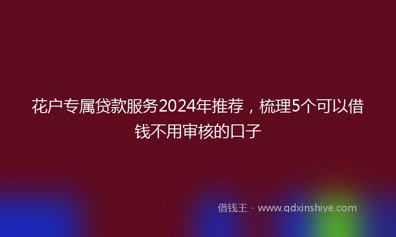 花户专属贷款服务2024年推荐,梳理5个可以借钱不用审核的口子