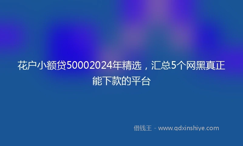 花户小额贷50002024年精选,汇总5个网黑真正能下款的平台