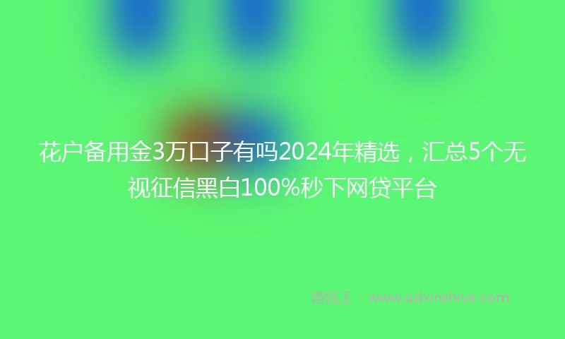 花户备用金3万口子有吗2024年精选，汇总5个无视征信黑白100%秒下网贷平台