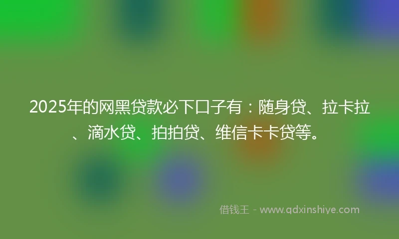 2025年的网黑贷款必下口子有：随身贷、拉卡拉、滴水贷、拍拍贷、维信卡卡贷等。