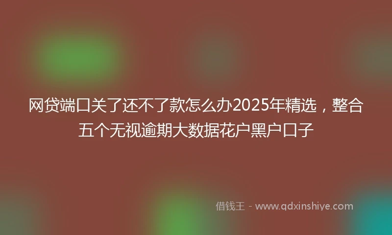 网贷端口关了还不了款怎么办2025年精选，整合五个无视逾期大数据花户黑户口子