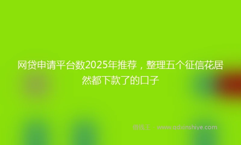 网贷申请平台数2025年推荐，整理五个征信花居然都下款了的口子