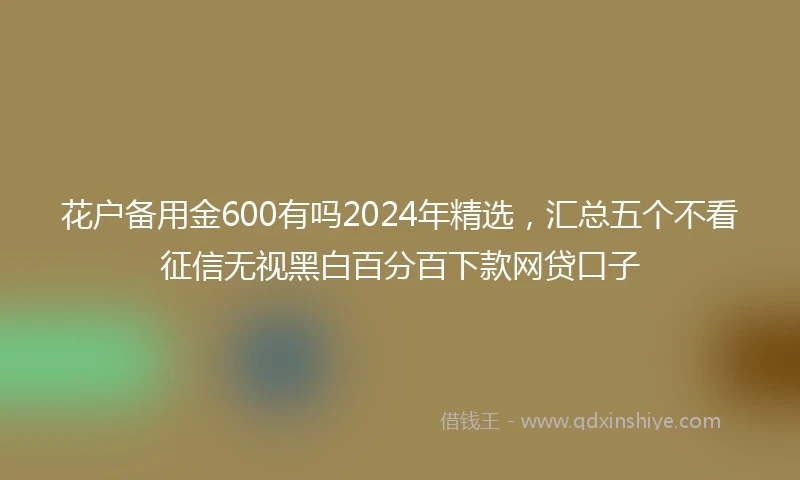 花户备用金600有吗2024年精选，汇总五个不看征信无视黑白百分百下款网贷口子