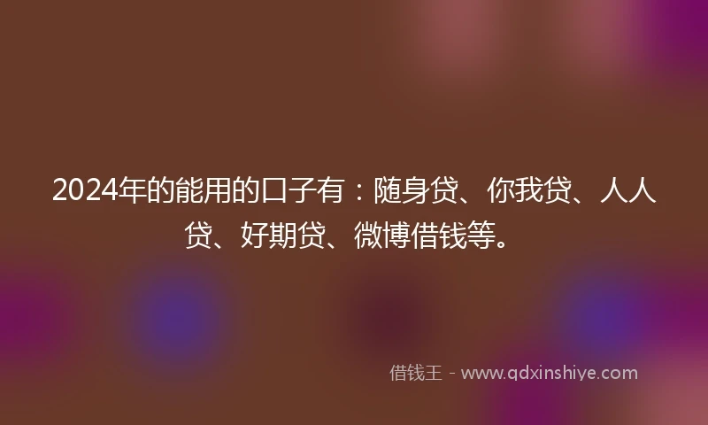 2024年的能用的口子有：随身贷、你我贷、人人贷、好期贷、微博借钱等。