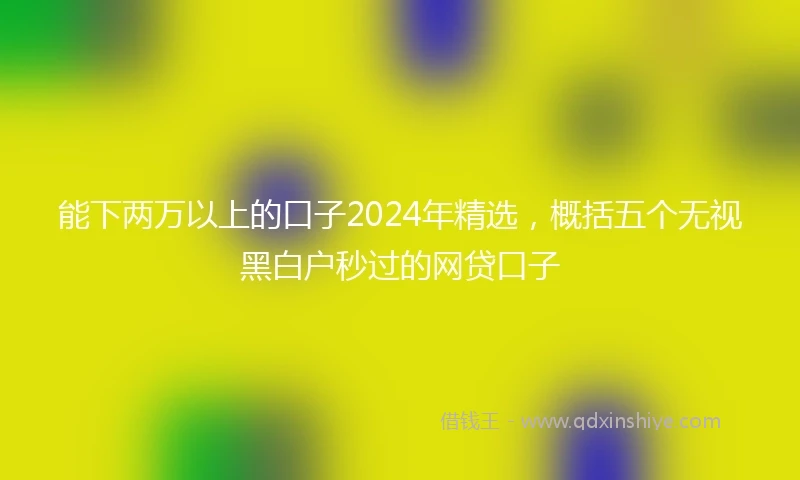 能下两万以上的口子2024年精选，概括五个无视黑白户秒过的网贷口子