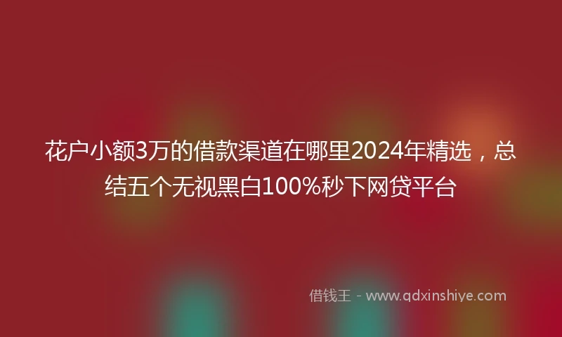 花户小额3万的借款渠道在哪里2024年精选，总结五个无视黑白100%秒下网贷平台