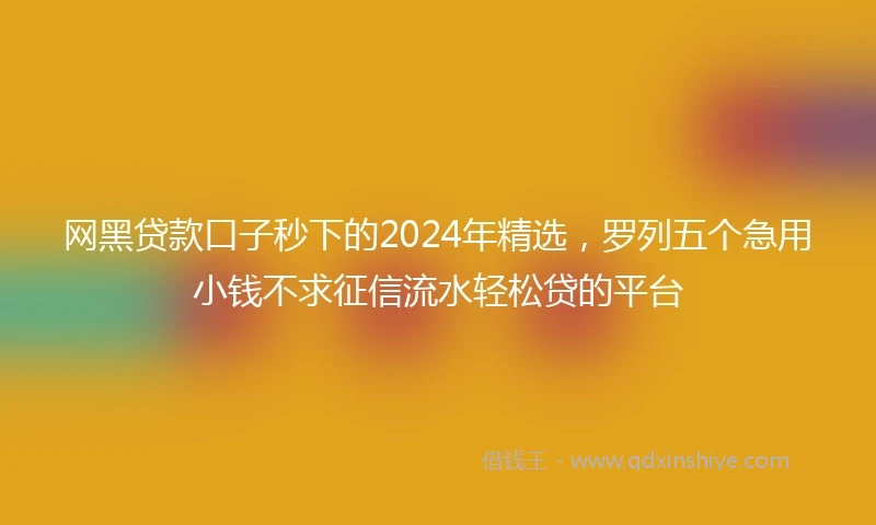 网黑贷款口子秒下的2024年精选，罗列五个急用小钱不求征信流水轻松贷的平台