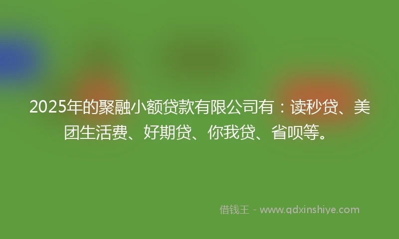 2025年的聚融小额贷款有限公司有：读秒贷、美团生活费、好期贷、你我贷、省呗等。