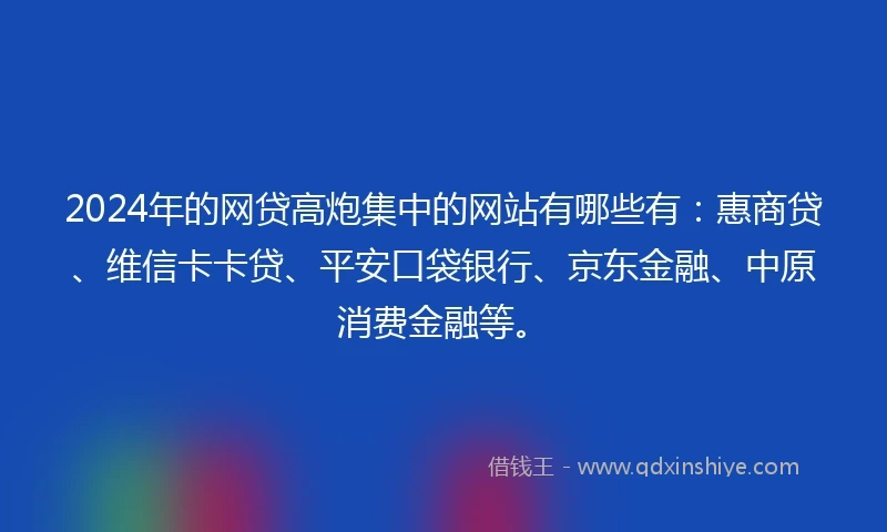 2024年的网贷高炮集中的网站有哪些有：惠商贷、维信卡卡贷、平安口袋银行、京东金融、中原消费金融等。