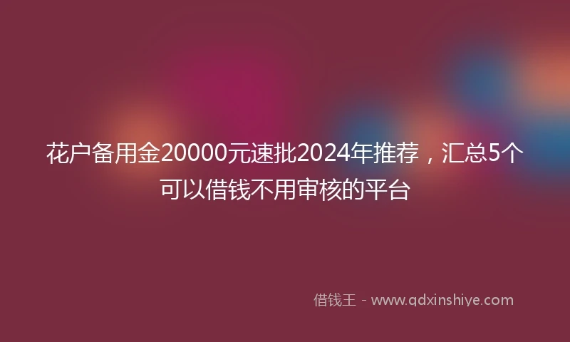花户备用金20000元速批2024年推荐，汇总5个可以借钱不用审核的平台