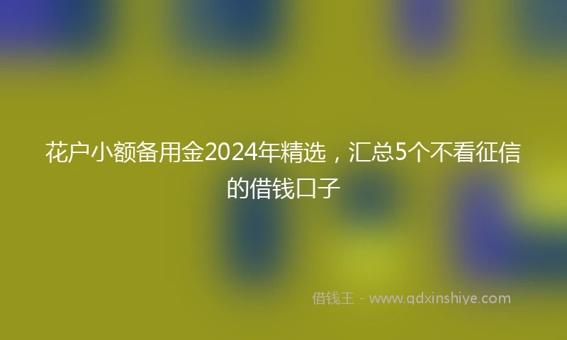 花户小额备用金2024年精选，汇总5个不看征信的借钱口子