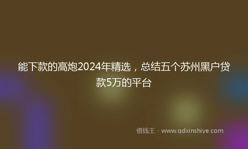 能下款的高炮2024年精选，总结五个苏州黑户贷款5万的平台