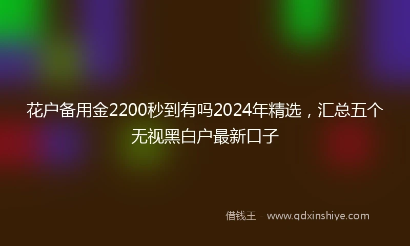 花户备用金2200秒到有吗2024年精选，汇总五个无视黑白户最新口子