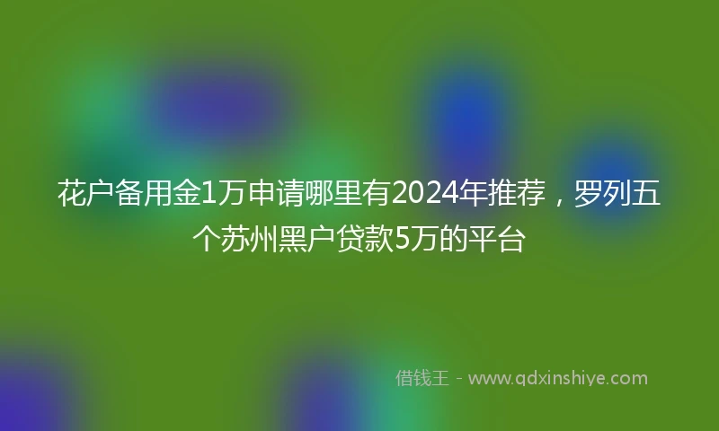 花户备用金1万申请哪里有2024年推荐，罗列五个苏州黑户贷款5万的平台