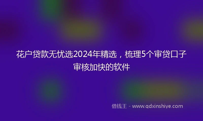 花户贷款无忧选2024年精选，梳理5个审贷口子审核加快的软件