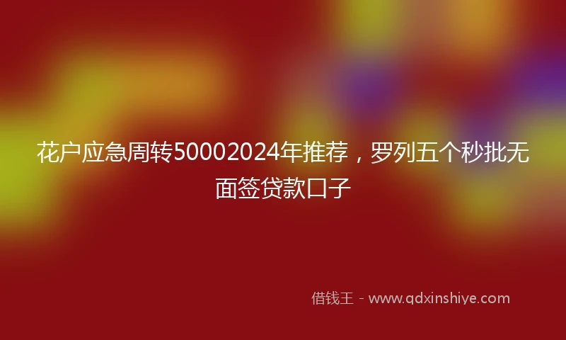 花户应急周转50002024年推荐，罗列五个秒批无面签贷款口子