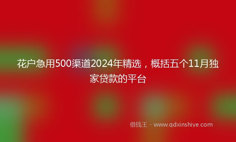 花户急用500渠道2024年精选，概括五个11月独家贷款的平台