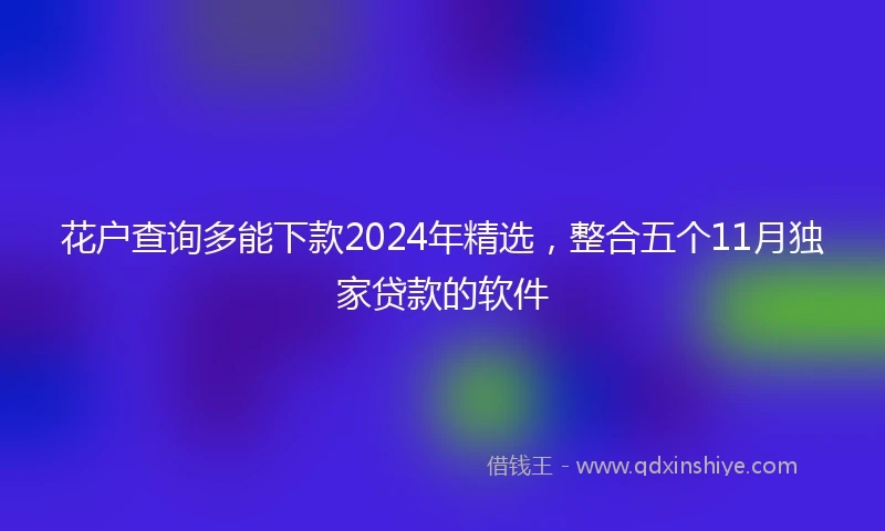 花户查询多能下款2024年精选，整合五个11月独家贷款的软件