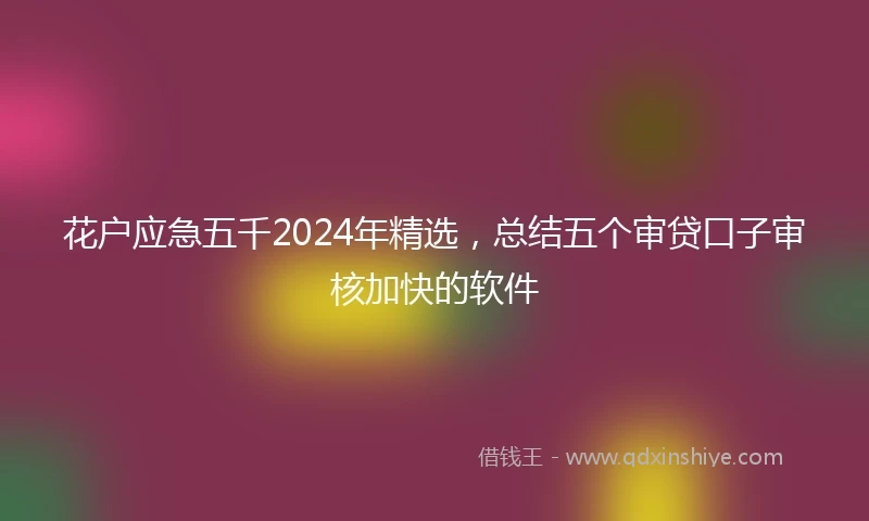 花户应急五千2024年精选，总结五个审贷口子审核加快的软件