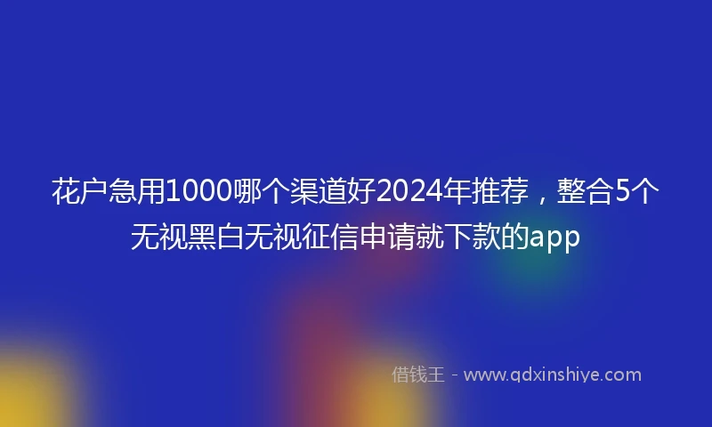 花户急用1000哪个渠道好2024年推荐，整合5个无视黑白无视征信申请就下款的app