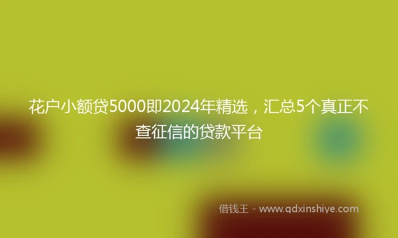 花户小额贷5000即2024年精选，汇总5个真正不查征信的贷款平台