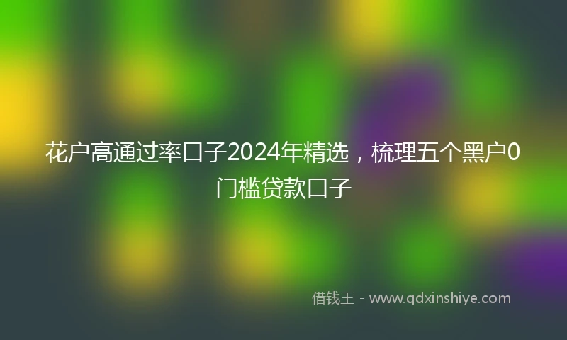 花户高通过率口子2024年精选，梳理五个黑户0门槛贷款口子