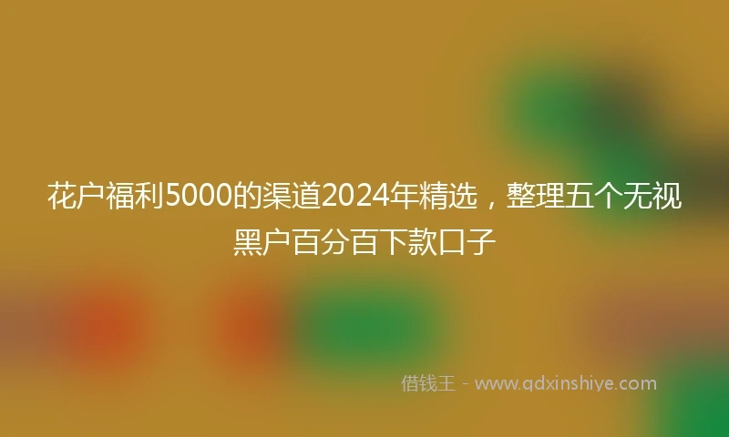 花户福利5000的渠道2024年精选，整理五个无视黑户百分百下款口子