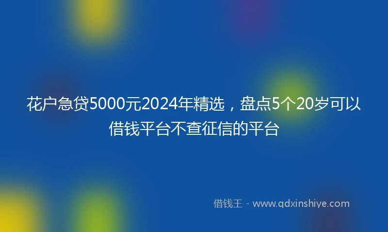花户急贷5000元2024年精选，盘点5个20岁可以借钱平台不查征信的平台