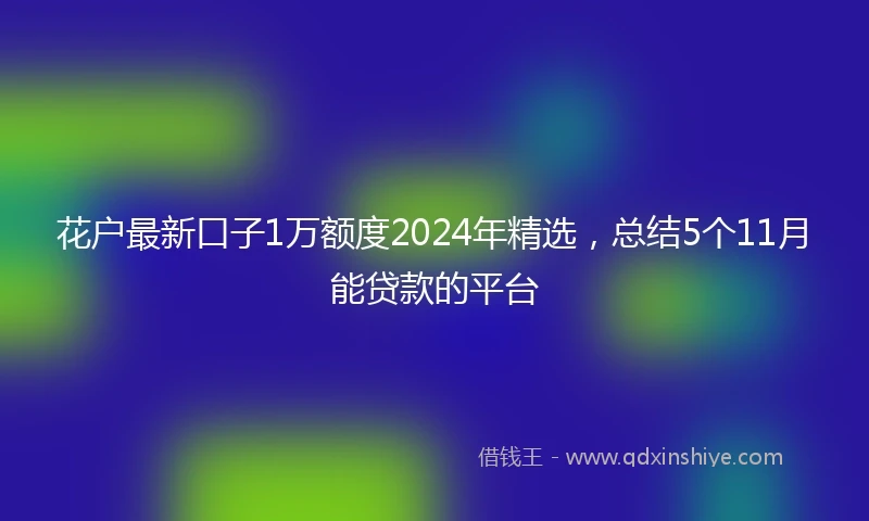 花户最新口子1万额度2024年精选，总结5个11月能贷款的平台