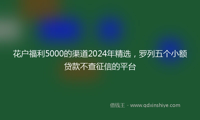 花户福利5000的渠道2024年精选，罗列五个小额贷款不查征信的平台