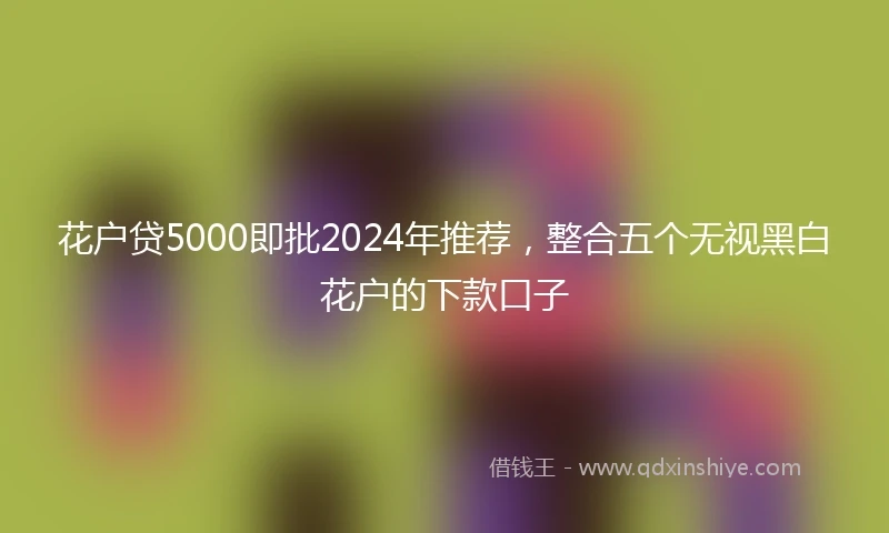 花户贷5000即批2024年推荐，整合五个无视黑白花户的下款口子