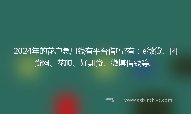 2024年的花户急用钱有平台借吗?有：e微贷、团贷网、花呗、好期贷、微博借钱等。
