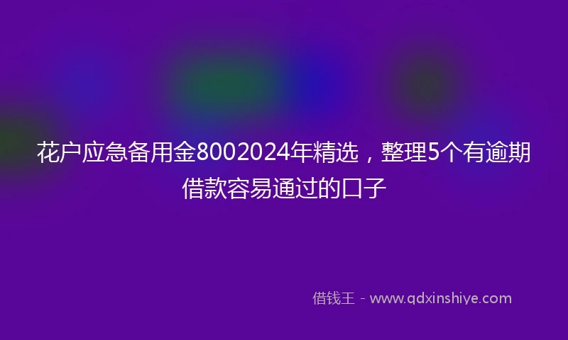 花户应急备用金8002024年精选，整理5个有逾期借款容易通过的口子